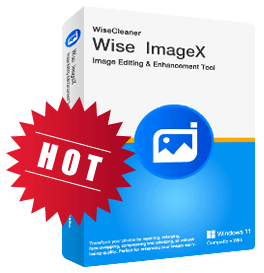 Wise ImageX